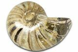 Cut & Polished Jurassic Nautilus Fossil (Half) - Madagascar #365525-1